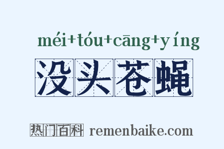 没头苍蝇是什么意思的图片